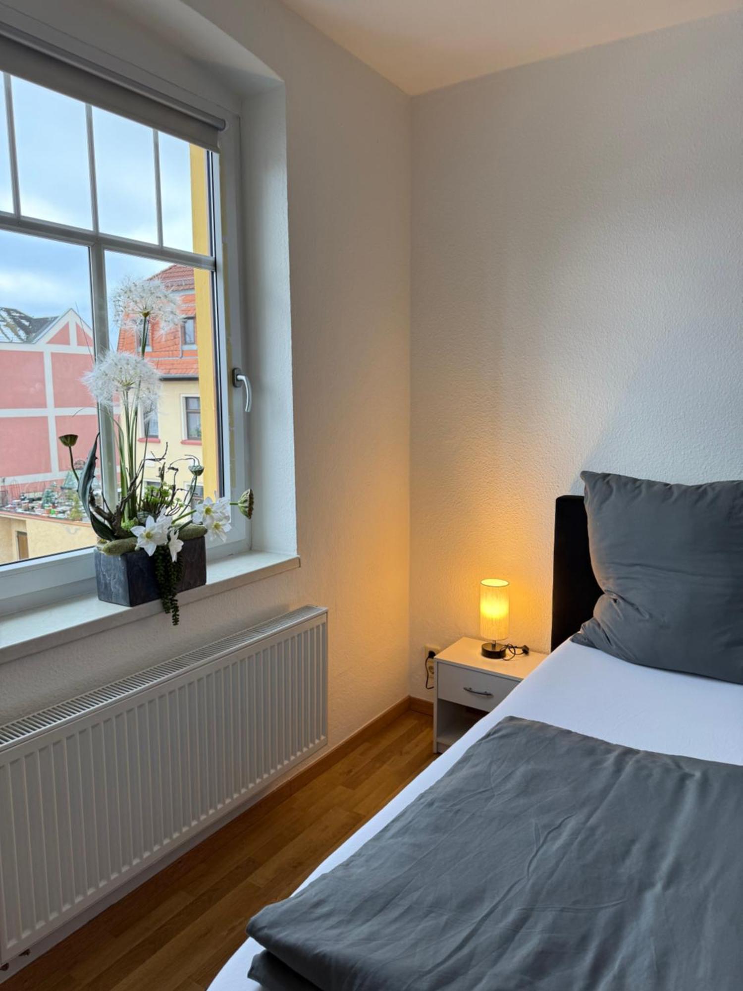 Goeltzschtal Apartment Mylau Exteriér fotografie